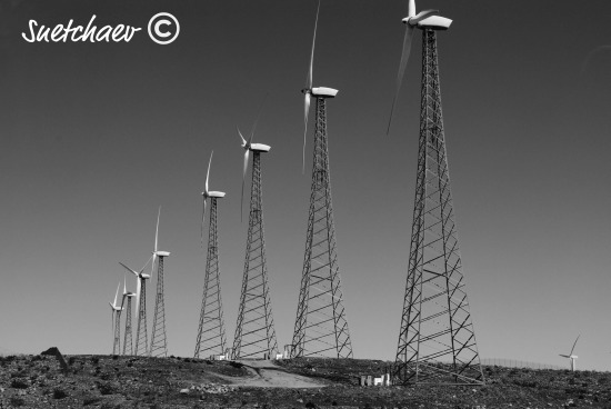 Windmills - Palm Springs