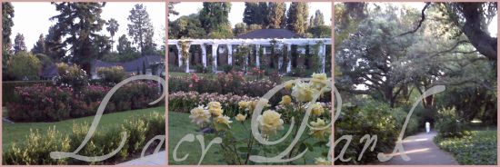 lacy-park-rose-garden