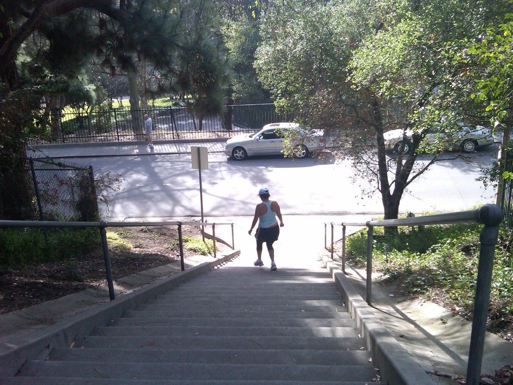 Lacy Park across the Street from the stairs