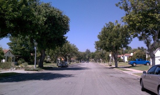 2214 Casa Grande is one a nice tree-lined street.