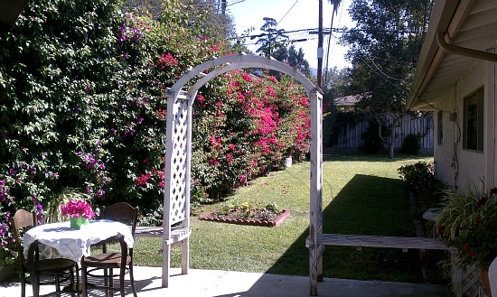 Altadena home has beautiful yard.