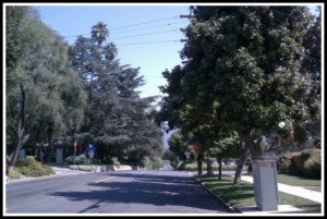 Mendocino Street is a beautiful tree-line street.