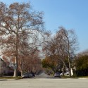 Arcadia California Community Profile – Peacock Village