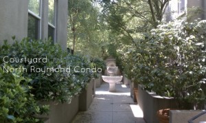 Bright and Elegant courtyard at 80 N,. Raymond