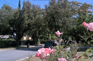 North Garfield Avenue is a nice tree lined street