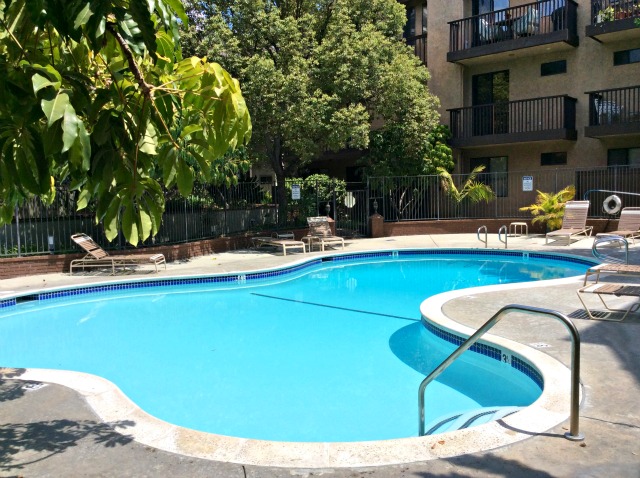 330 Cordova Pool