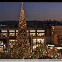 Must-See Holiday Spots Near Pasadena!