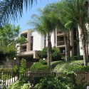 Monterey Hills California: Temple Terrace