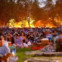 Street Food Cinema