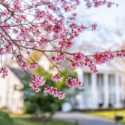 4 Ways To Make an Offer That Stands Out This Spring