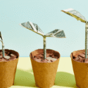 Home Price Growth Slowed Down. That May Be Changing.