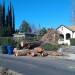 Pasadena Area Windstorm Update