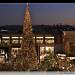 Must-See Holiday Spots Near Pasadena!