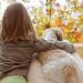 5 Reasons to Sell This Fall