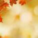 4 Reasons to Sell This Fall [INFOGRAPHIC]