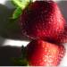 Day 5: Juicy Strawberries