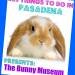 Day 77: The Bunny Museum