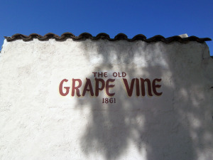 the-old-grapevine