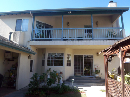 lotus-back-of-the-house-and-balcony