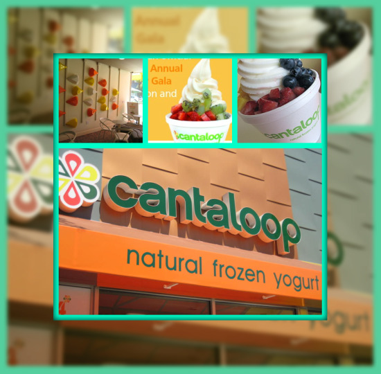 Cantaloop - Natural Frozen Yogurt