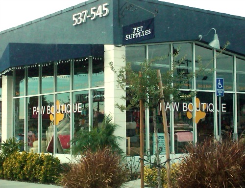 Paw Boutique in Pasadena