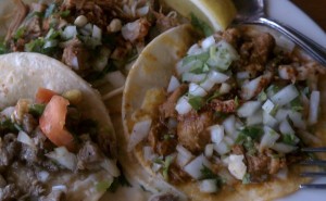 Tacos at El Patron