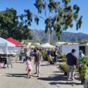 What’s Fresh in Pasadena? (A Bi-Monthly Guide to Pasadena Farmers Markets)