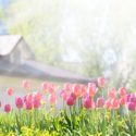 The Housing Market Will “Spring Forward” This Year!