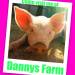 Day 150: Danny’s Farm