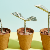 Home Price Growth Slowed Down. That May Be Changing.